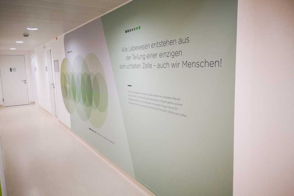 SVS Interiors Wandbeklebung: Flur mit plakativer, grüner Wandgestaltung und Text.