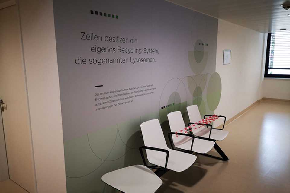 SVS Interiors Wandbeklebung: Zellen-Design im Wartebereich, moderne Innenarchitektur.