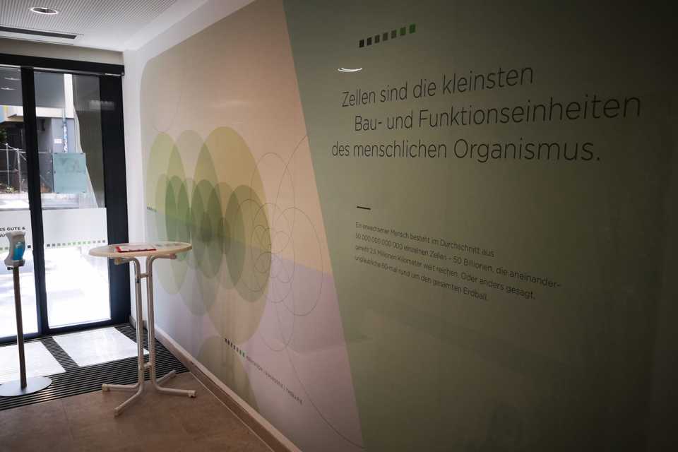 SVS Interiors Wandbeklebung: Zellen-Design. Plakative Wandgestaltung.