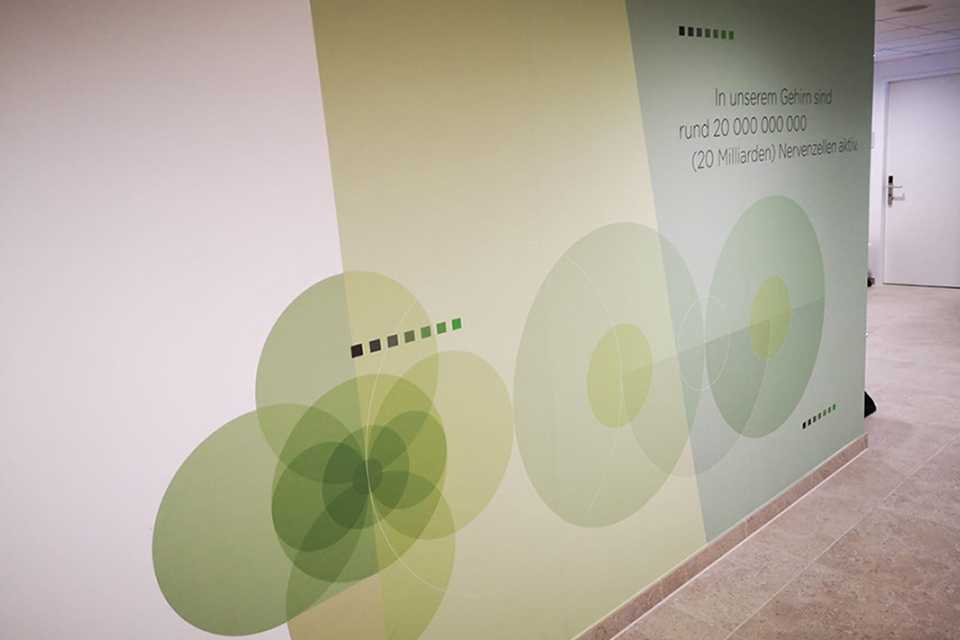 SVS INTERIORS: Plakative Wandbeklebung mit Kreisen und Text in Grün. Bürogestaltung.