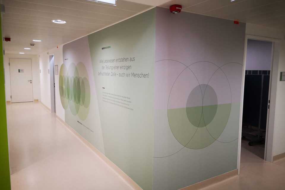 SVS Interiors: Plakative Wandbeklebung im Flur. Design mit Kreisen und Text. Innenarchitektur.