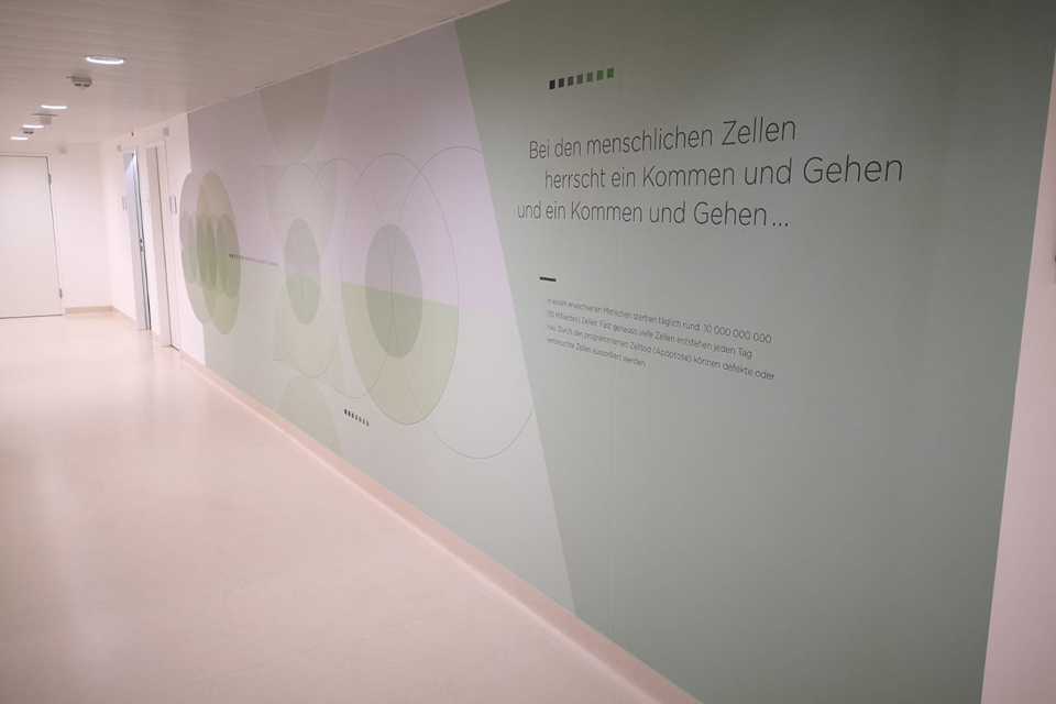 SVS Interiors: Plakative Wandbeklebung mit Zitat und Grafik im Flur.